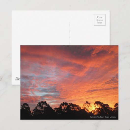 Australian Sunset Briefkaart (Voorkant / Achterkant)
