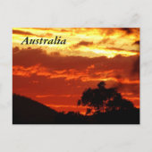 Australian Sunset Briefkaart (Voorkant)