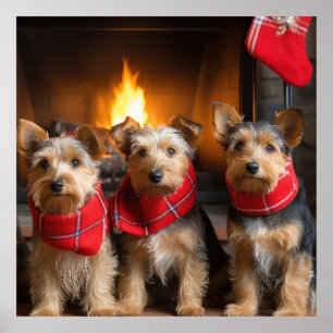 Australian Terrier bij de open haard Kerstmis Poster