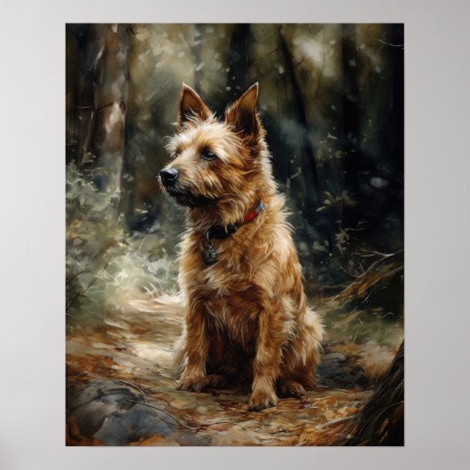 Australian Terrier Dog Art Print Poster (Voorkant)