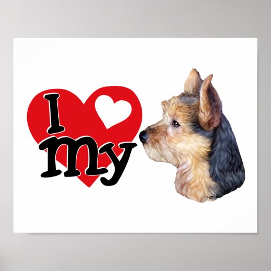 Australian Terrier I (hart) mijn Poster (Voorkant)