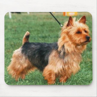 Australian Terrier Mousepad Muismat