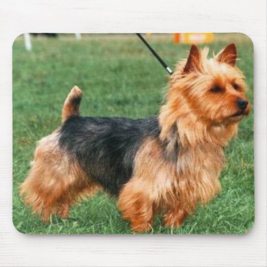 Australian Terrier Mousepad Muismat (Voorkant)