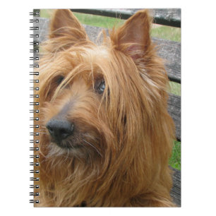 australian terrier op bank.png notitieboek