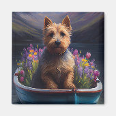 Australian Terrier op Paddle: Een Schilderachtig a Magneet (Voorkant)
