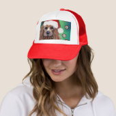 AUSTRALIAN TERRIËR TRUCKER PET (In situ)