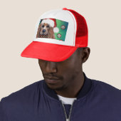 AUSTRALIAN TERRIËR TRUCKER PET (In situ)