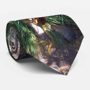 Australian Tree Kangaroo, Stropdas