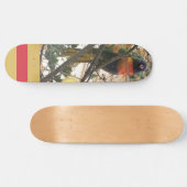 Australian Wattle Rainbow Lorikeet Cockato Bird Persoonlijk Skateboard (Horizontaal)