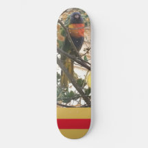 Australian Wattle Rainbow Lorikeet Cockato Bird