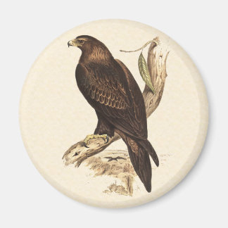 Australian Wedge op de trein. Een enorme vogel van Magneet