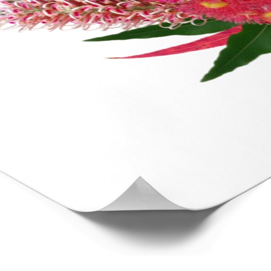 Australian Wild Flowers Bouquet Poster (Hoek)