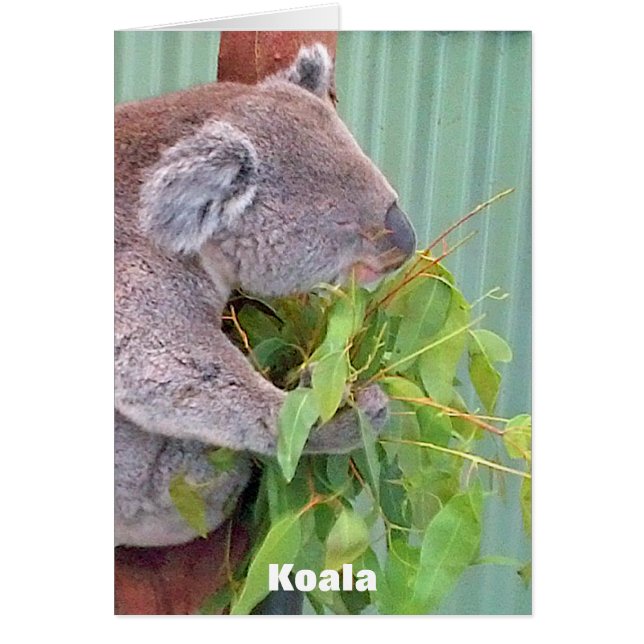 Australian Wildlife Card (Voorkant)