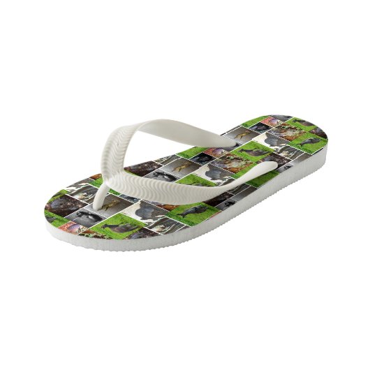 Australian Wildlife Collage Kinder Teenslippers (Schuin)