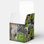 Australian Wildlife Collectie, Bedankdoosjes (Geopend)