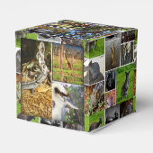 Australian Wildlife Collectie, Bedankdoosjes (Achterkant)