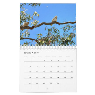 AUSTRALIAN WILDLIFE KALENDER