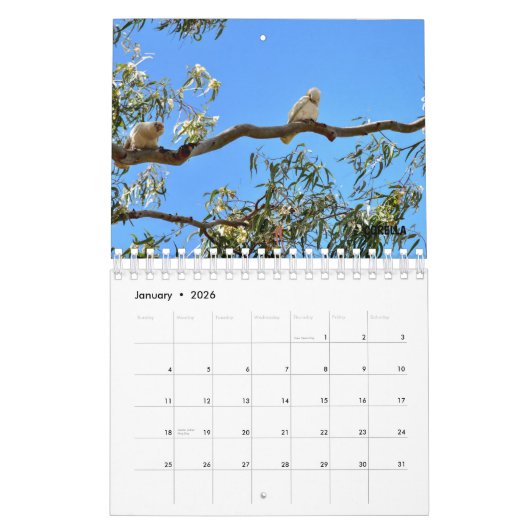 AUSTRALIAN WILDLIFE KALENDER (Jan 2026)