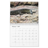 AUSTRALIAN WILDLIFE KALENDER (Feb 2027)