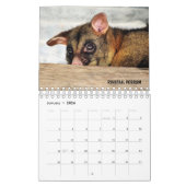 AUSTRALIAN WILDLIFE KALENDER (Jan 2026)