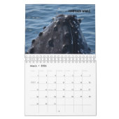AUSTRALIAN WILDLIFE KALENDER (Mar 2026)