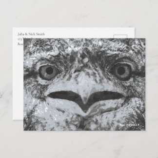 Australian Wildlife, Nature's Curmudgeon, Animal Briefkaart