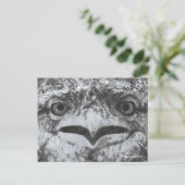 Australian Wildlife, Nature's Curmudgeon, Animal Briefkaart (Staand voorkant)