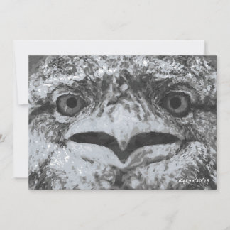 Australian Wildlife, Nature's Curmudgeon, Animal Kaart