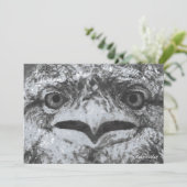 Australian Wildlife, Nature's Curmudgeon, Animal Kaart (Staand voorkant)