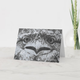 Australian Wildlife, Nature's Curmudgeon, Animal Kaart