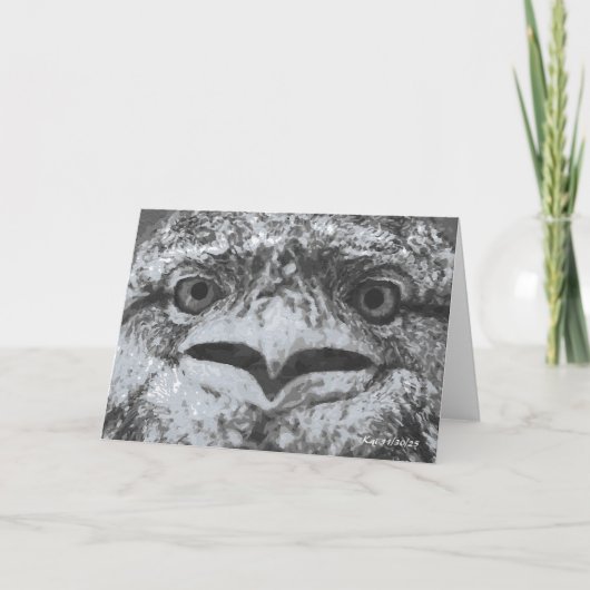 Australian Wildlife, Nature's Curmudgeon, Animal Kaart (Voorkant)