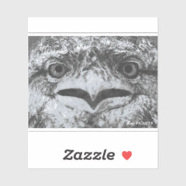 Australian Wildlife, Nature's Curmudgeon, Animal Sticker