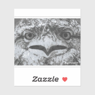 Australian Wildlife, Nature's Curmudgeon, Animal Sticker