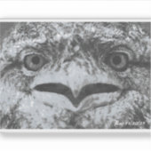 Australian Wildlife, Nature's Curmudgeon, Animal Sticker (Voorkant)