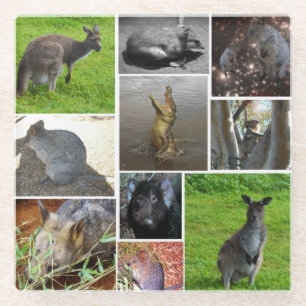Australian Wildlife Photo Collage Glazen Onderzetter
