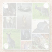 Australian Wildlife Photo Collage Glazen Onderzetter (Achterkant)