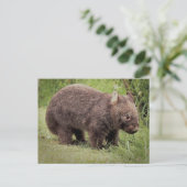 Australian Wombat Briefkaart (Staand voorkant)