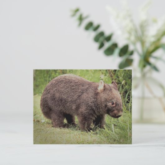 Australian Wombat Briefkaart (Staand voorkant)