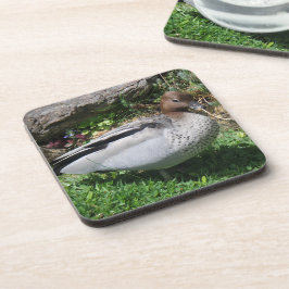 Australian Wood Duck in Tranquil Garden Bier Onderzetter