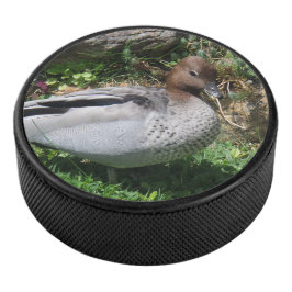 Australian Wood Duck in Tranquil Garden Hockey Puck