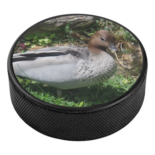 Australian Wood Duck in Tranquil Garden Hockey Puck (3/4)