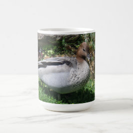 Australian Wood Duck in Tranquil Garden Koffiemok