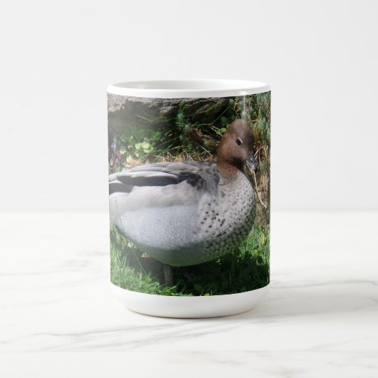 Australian Wood Duck in Tranquil Garden Koffiemok (Center)
