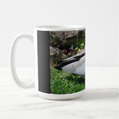 Australian Wood Duck in Tranquil Garden Koffiemok (Links)