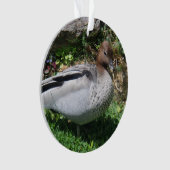 Australian Wood Duck in Tranquil Garden Ornament (voorkant)