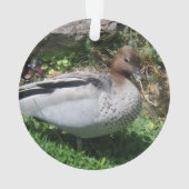 Australian Wood Duck in Tranquil Garden Ornament (achterkant)