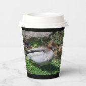 Australian Wood Duck in Tranquil Garden Papieren Bekers (Achterkant)