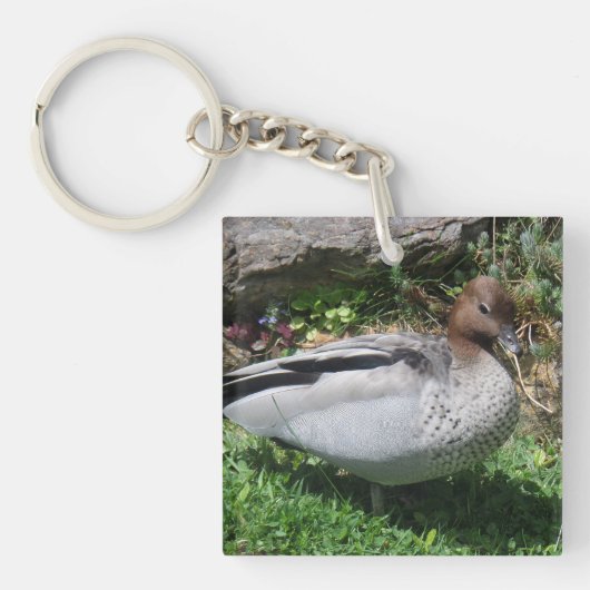 Australian Wood Duck in Tranquil Garden Sleutelhanger (voorkant)