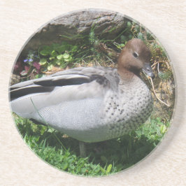 Australian Wood Duck in Tranquil Garden Zandsteen Onderzetter