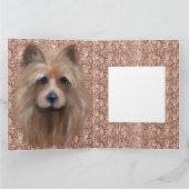  AUSTRALIANSE TERRIËR    KAART (Binnen)